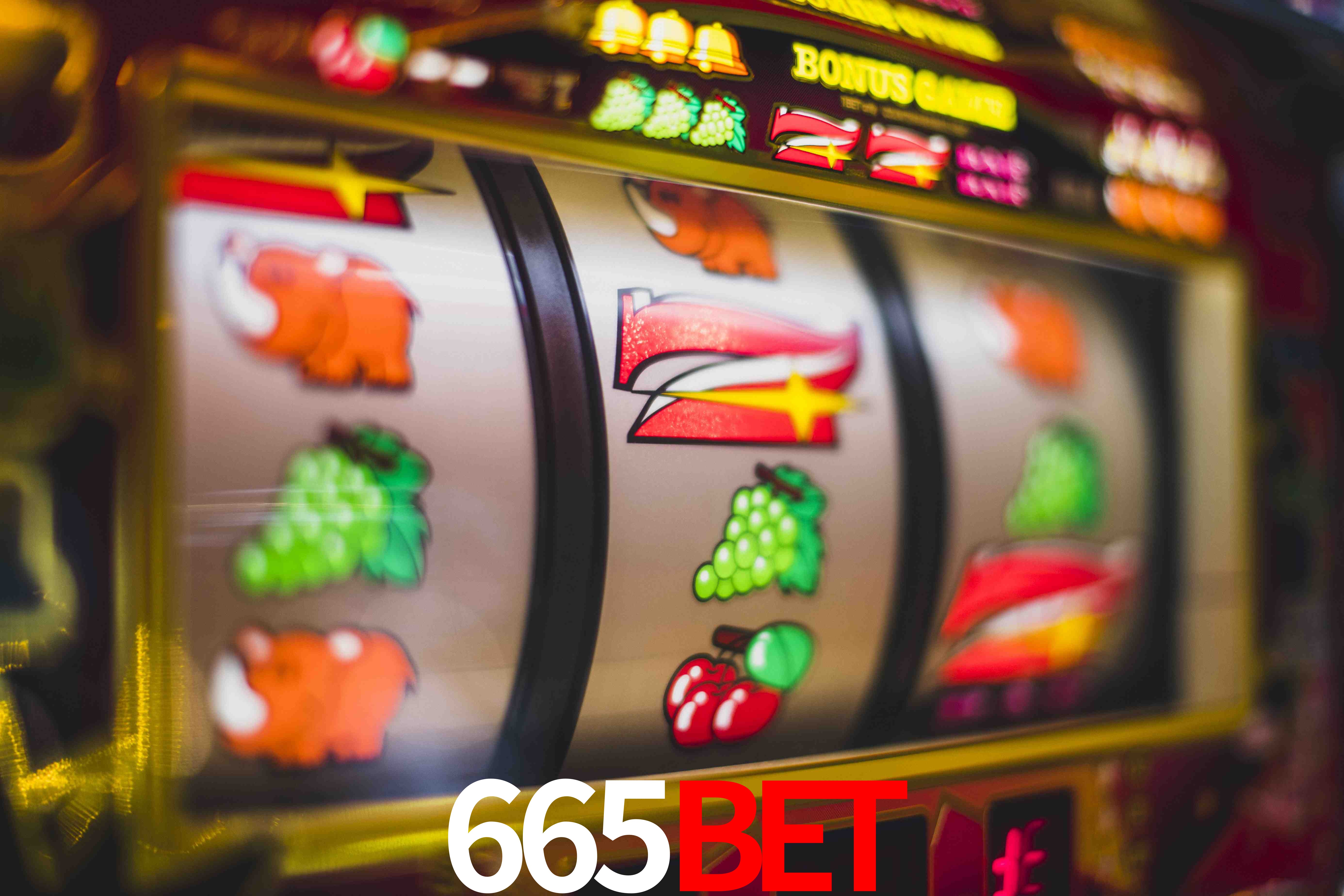VIP Casino 665bet